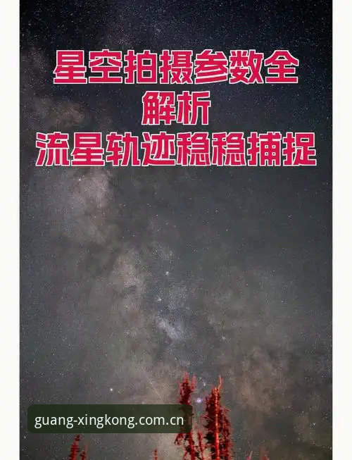 星空娱乐平台2026版本实用指南：从下载到提现的七个关键细节